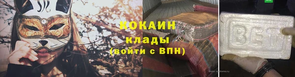 шишки Куйбышев