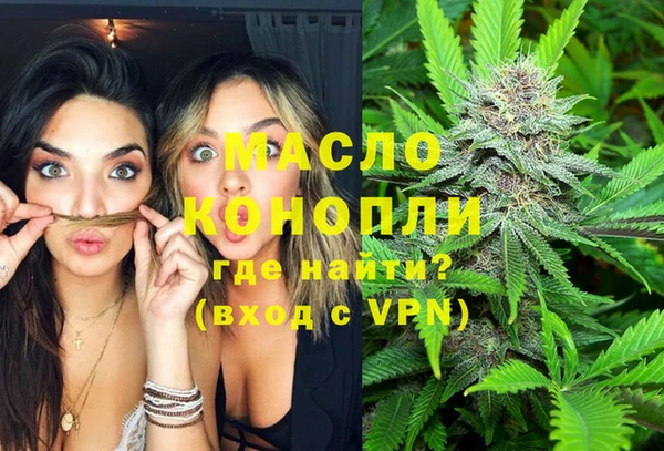 гашик Ладушкин