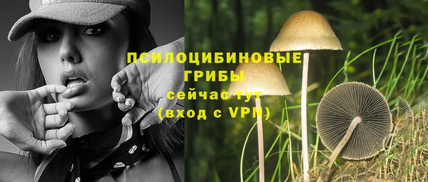 гашик Кукмор