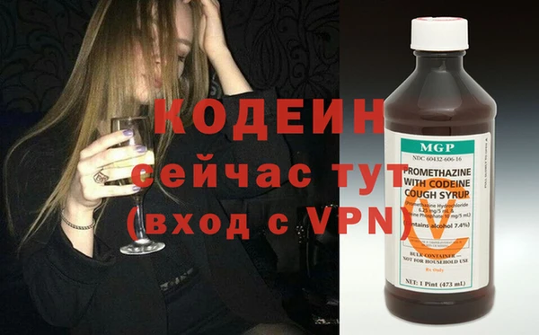 гашик Ладушкин