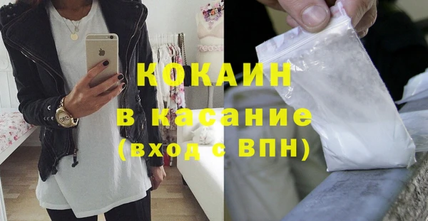 шишки Куйбышев