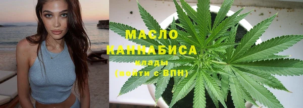 гашик Ладушкин