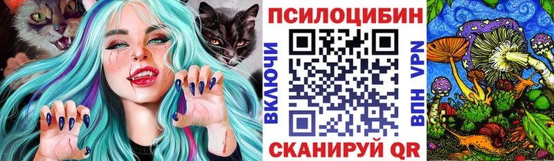 Псилоцибиновые грибы MAGIC MUSHROOMS  Купить где  Изобильный 