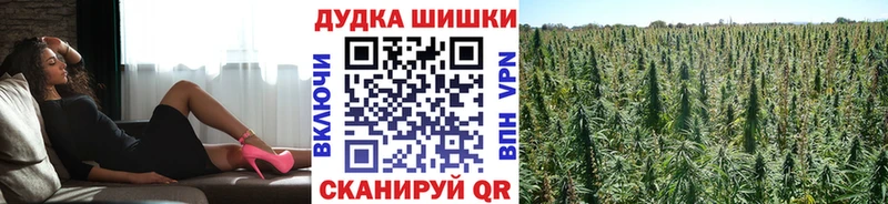 Купить где  Изобильный  Марихуана индика 